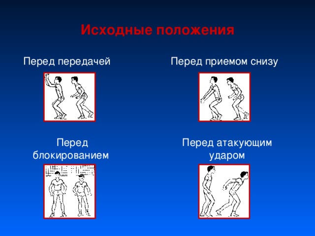 Исходные положения Перед передачей Перед приемом снизу Перед блокированием Перед атакующим ударом 
