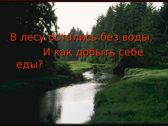 В лесу остались без воды,  И как добыть себе еды?