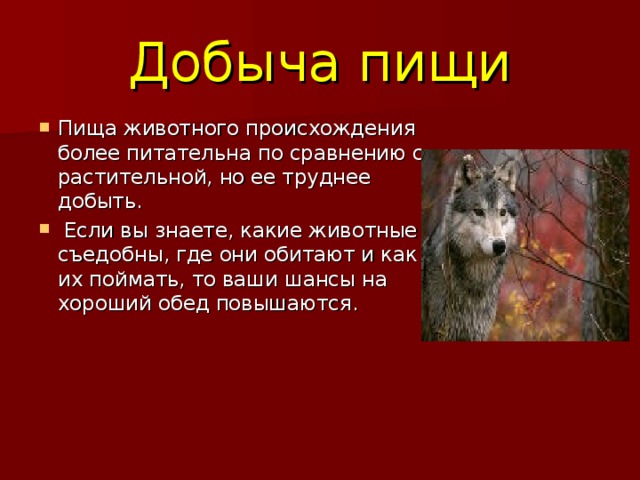 Добыча пищи