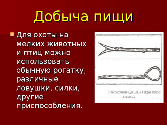 Добыча пищи