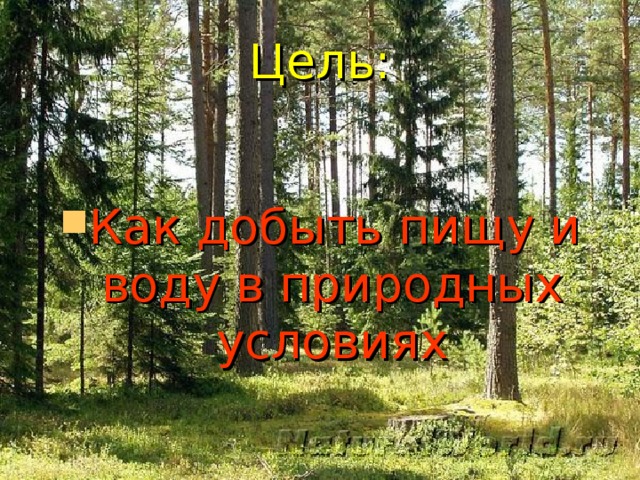 Цель: