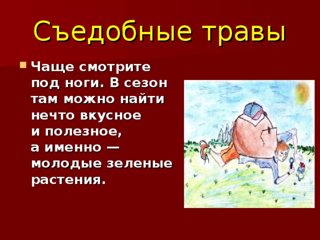 Съедобные травы