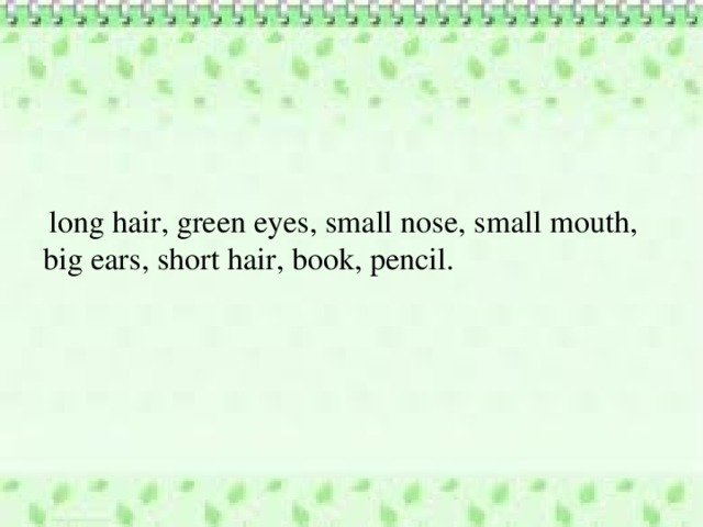  long hair, green eyes, small nose, small mouth, big ears, short hair, book, pencil. 
