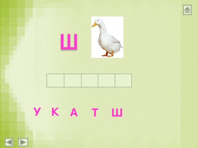К У А Т Ш 