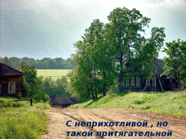 С неприхотливой , но такой притягательной красотой 