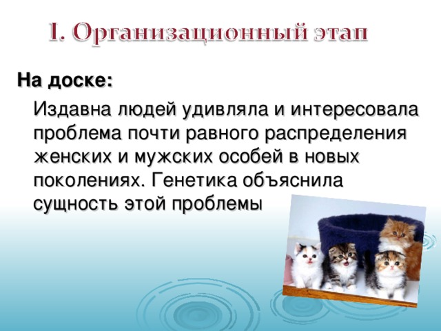 На доске:  Издавна людей удивляла и интересовала проблема почти равного распределения женских и мужских особей в новых поколениях. Генетика объяснила сущность этой проблемы
