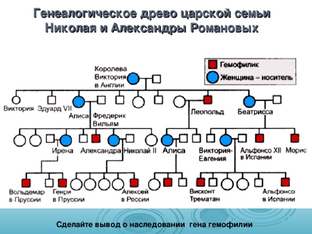 Генеалогическое древо царской семьи Николая и Александры Романовых Сделайте вывод о наследовании гена гемофилии