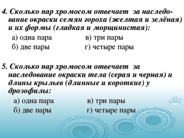 4. Сколько пар хромосом отвечает за наследо-вание окраски семян гороха (желтая и зелёная) и их формы (гладкая и морщинистая):  а) одна пара в) три пары  б) две пары г) четыре пары  5. Сколько пар хромосом отвечает за наследование окраски тела (серая и черная) и длины крыльев (длинные и короткие) у дрозофилы:  а) одна пара в) три пары  б) две пары г) четыре пары