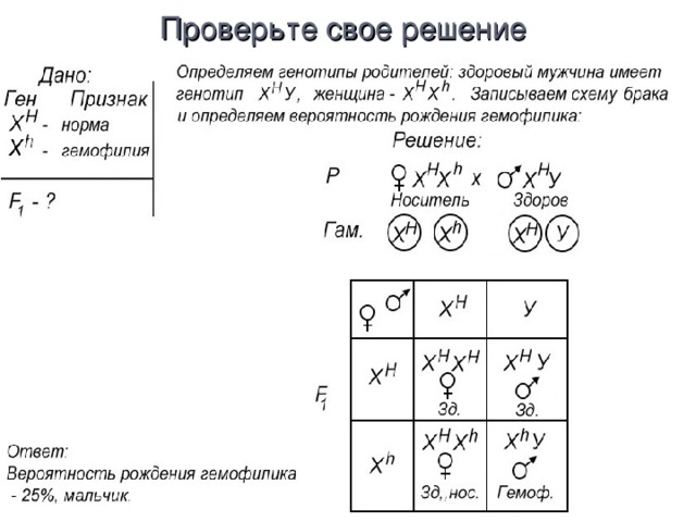 Проверьте свое решение