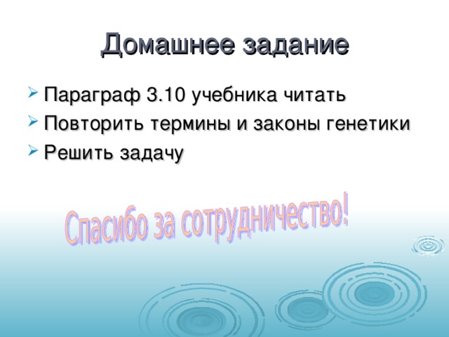 Домашнее задание