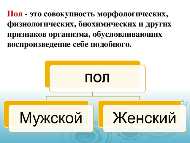 Пол - это совокупность морфологических, физиологических, биохимических и других признаков организма, обусловливающих воспроизведение себе подобного.