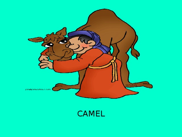 CAMEL 