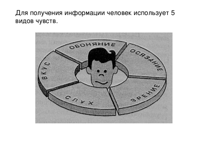 Для получения информации человек использует 5 видов чувств. 