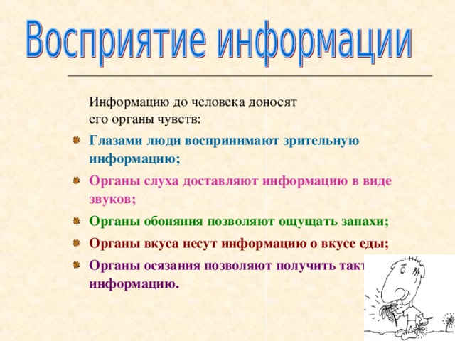  Информацию до человека доносят  его органы чувств: Глазами люди воспринимают зрительную информацию; Органы слуха доставляют информацию в виде звуков; Органы обоняния позволяют ощущать запахи; Органы вкуса несут информацию о вкусе еды; Органы осязания позволяют получить тактильную информацию.  