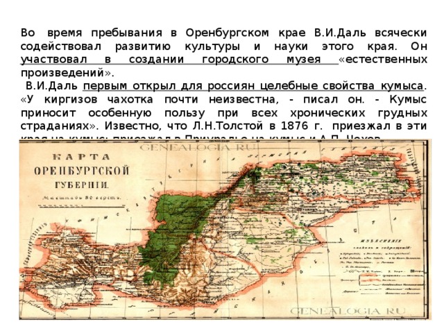 Во  время пребывания в Оренбургском крае В.И.Даль всячески содействовал развитию культуры и науки этого края. Он участвовал в создании городского музея «естественных произведений».  В.И.Даль первым открыл для россиян целебные свойства кумыса . «У киргизов чахотка почти неизвестна, - писал он. - Кумыс приносит особенную пользу при всех хронических грудных страданиях». Известно, что Л.Н.Толстой в 1876 г.  приезжал в эти края на кумыс; приезжал в Приуралье на кумыс и А.П. Чехов. В.И.Даль организовал в Оренбурге отделение Русского Географического Общества 