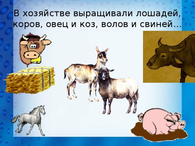 В хозяйстве выращивали лошадей, коров, овец и коз, волов и свиней… 