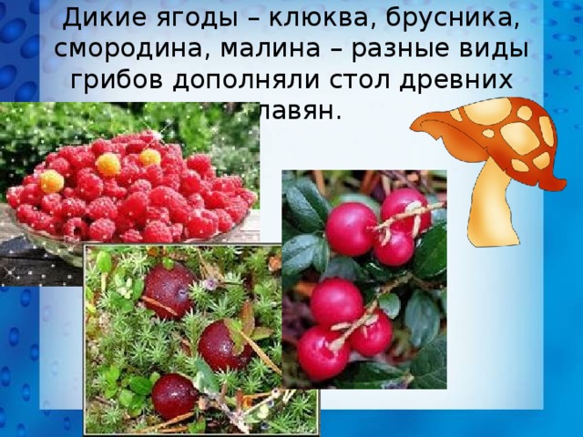 Дикие ягоды – клюква, брусника, смородина, малина – разные виды грибов дополняли стол древних славян. 