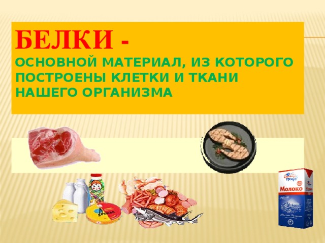 БЕЛКИ -  Основной материал, из которого построены клетки и ткани нашего организма    