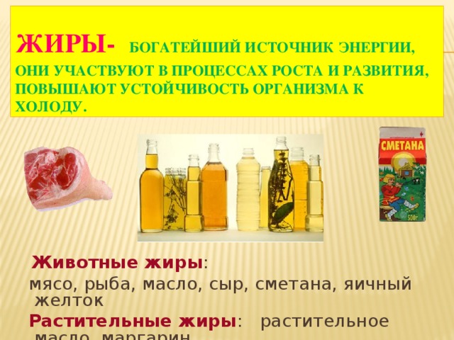 Растительные жиры проект