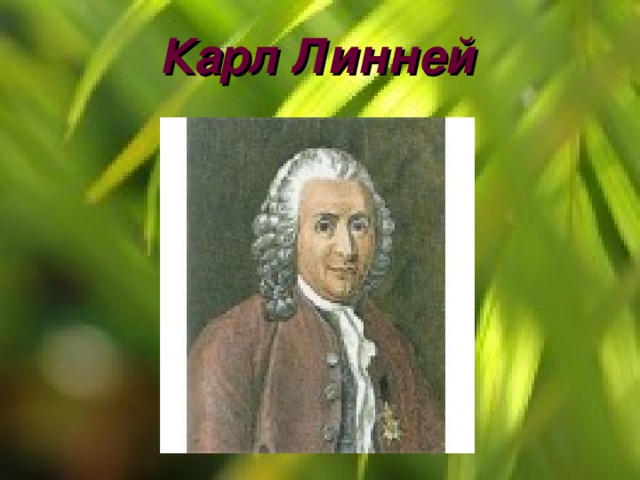 Карл Линней 