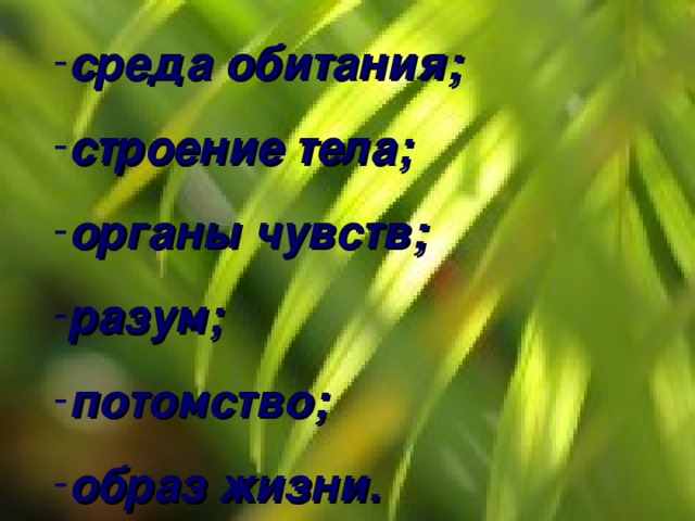среда обитания; строение тела; органы чувств; разум; потомство; образ жизни.  