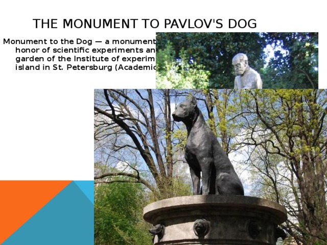 The monument to Pavlov's dog Monument to the Dog — a monument with a fountain, installed in honor of scientific experiments and experimental animals in the garden of the Institute of experimental medicine on Aptekarsky island in St. Petersburg (Academician Pavlov str., 12). 