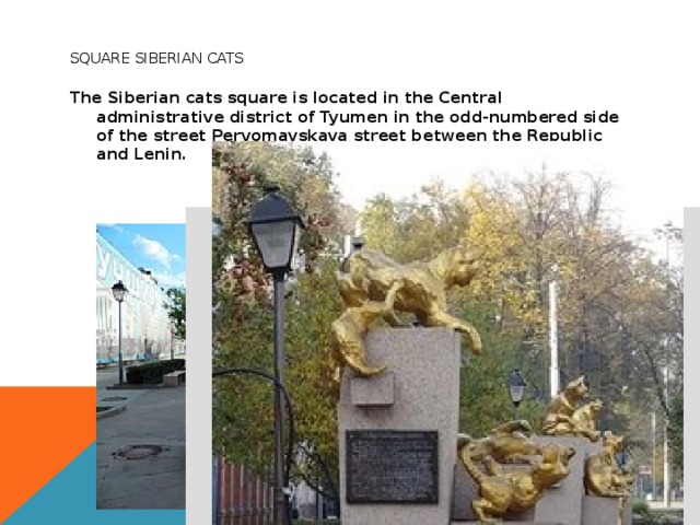  Square Siberian cats The Siberian cats square is located in the Central administrative district of Tyumen in the odd-numbered side of the street Pervomayskaya street between the Republic and Lenin. 