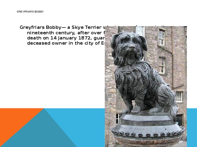 Greyfriars Bobby    Greyfriars Bobby— a Skye Terrier who became famous in the nineteenth century, after over fourteen years until his own death on 14 January 1872, guarded the grave of his deceased owner in the city of Edinburgh, Scotland. 