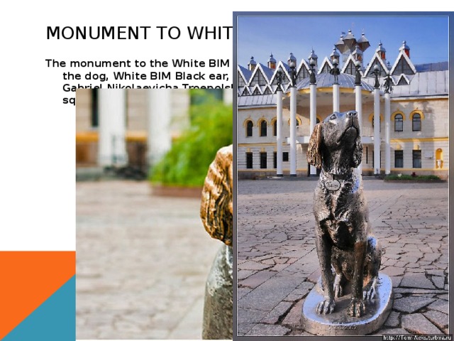 Monument To White BIM The monument to the White BIM Black ear is a monument to the dog, White BIM Black ear, the hero of the story of Gabriel Nikolaevicha Troepolskaia. Set in Voronezh on the square in front of the Voronezh theatre of dolls 