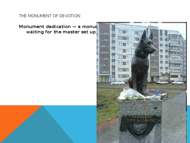  The monument of devotion Monument dedication — a monument to the dog, faithfully waiting for the master set up in Togliatti. 