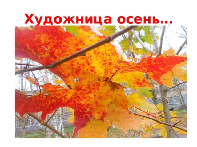 Художница осень… 