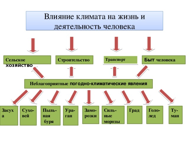 Влияние климата на жизнь и деятельность человека Сельское  хозяйство Транспорт Строительство Быт человека Неблагоприятные погодно-климатические явления Пыль- Засуха Сухо-вей Ура- Ту- Град Силь-ные  морозы Замо-розки Голо-лед ман ган ная  буря 