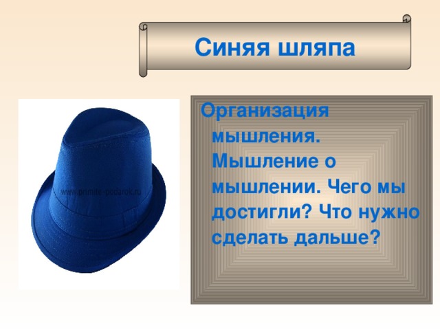 Синяя шляпа Организация мышления. Мышление о мышлении. Чего мы достигли? Что нужно сделать дальше?   