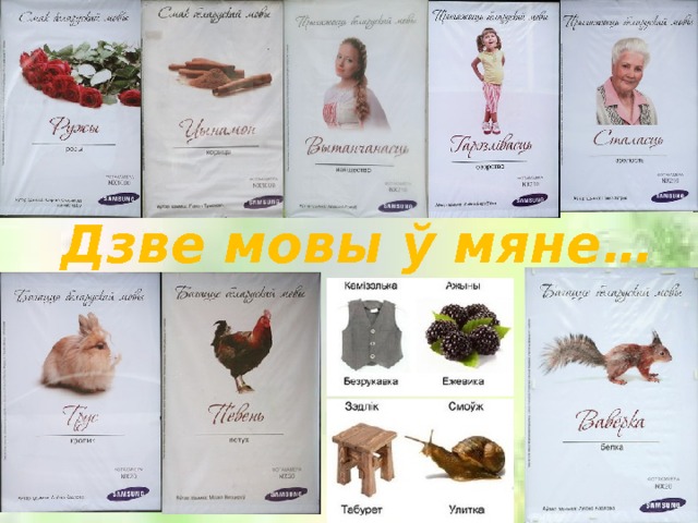 Дзве мовы ў мяне… 