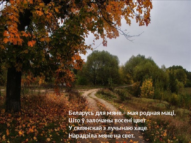 Беларусь для мяне – мая родная маці,  Што ў залочаны восені цвет  У сялянскай з лучынаю хаце  Нарадзіла мяне на свет. 