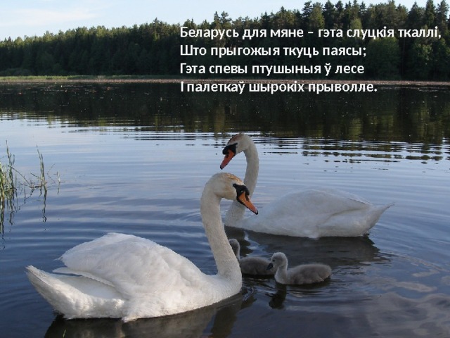 Беларусь для мяне – гэта слуцкія ткаллі,  Што прыгожыя ткуць паясы;  Гэта спевы птушыныя ў лесе  І палеткаў шырокіх прыволле. 