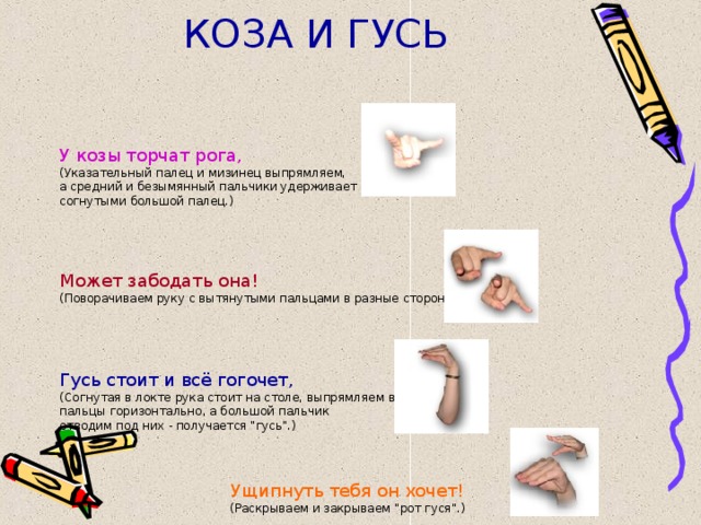 КОЗА И ГУСЬ У козы торчат рога, (Указательный палец и мизинец выпрямляем, а средний и безымянный пальчики удерживает согнутыми большой палец.) Может забодать она! (Поворачиваем руку с вытянутыми пальцами в разные стороны.) Гусь стоит и всё гогочет, (Согнутая в локте рука стоит на столе, выпрямляем все пальцы горизонтально, а большой пальчик отводим под них - получается 