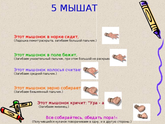 5 МЫШАТ Этот мышонок в норке сидит, (Ладошка лежит раскрыта, загибаем большой пальчик.) Этот мышонок в поле бежит, (Загибаем указательный пальчик, при этом большой не раскрываем.) Этот мышонок колосья считает, (Загибаем средний пальчик.) Этот мышонок зерно собирает, (Загибаем безымянный пальчик.)  Этот мышонок кричит: 