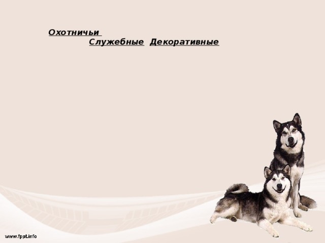 Охотничьи  Служебные  Декоративные 