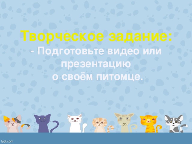 Творческое задание: - Подготовьте видео или презентацию  о своём питомце. 
