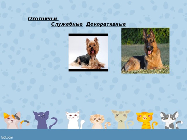 Охотничьи  Служебные  Декоративные 