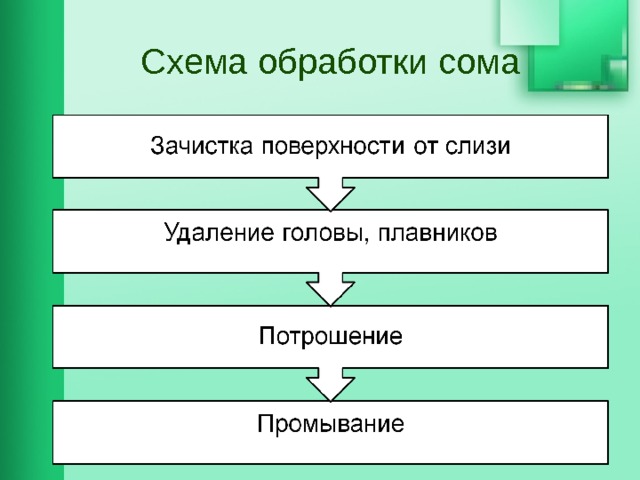 Схема обработки винограда сингента