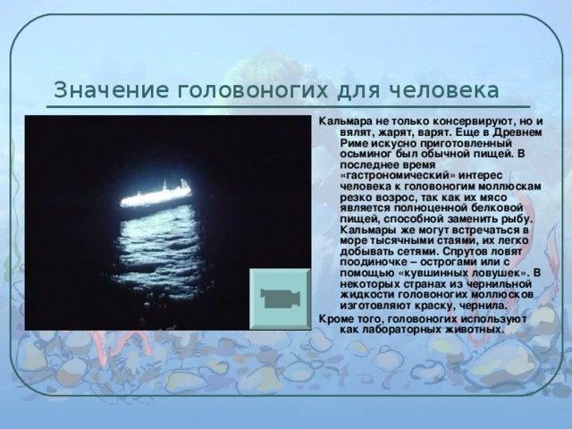 Значение головоногих для человека Кальмара не только консервируют, но и вялят, жарят, варят. Еще в Древнем Риме искусно приготовленный осьминог был обычной пищей. В последнее время «гастрономический» интерес человека к головоногим моллюскам резко возрос, так как их мясо является полноценной белковой пищей, способной заменить рыбу. Кальмары же могут встречаться в море тысячными стаями, их легко добывать сетями. Спрутов ловят поодиночке – острогами или с помощью «кувшинных ловушек». В некоторых странах из чернильной жидкости головоногих моллюсков изготовляют краску, чернила. Кроме того, головоногих используют как лабораторных животных. 