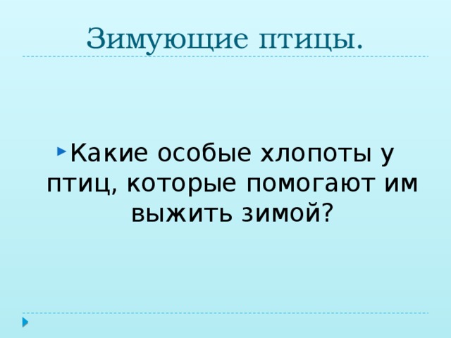Зимующие птицы.