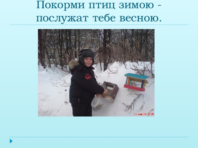 Покорми птиц зимою - послужат тебе весною.
