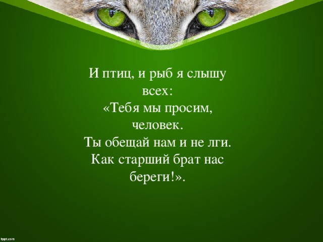 И птиц, и рыб я слышу всех: «Тебя мы просим, человек. Ты обещай нам и не лги. Как старший брат нас береги!». 