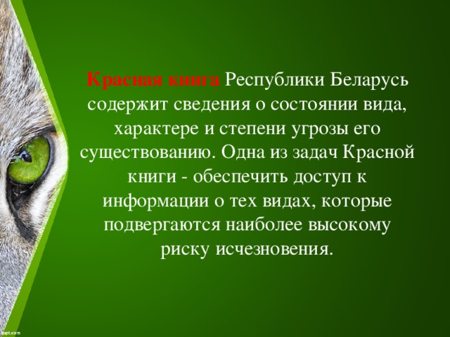 Красная книга Республики Беларусь содержит сведения о состоянии вида, характере и степени угрозы его существованию. Одна из задач Красной книги - обеспечить доступ к информации о тех видах, которые подвергаются наиболее высокому риску исчезновения. 