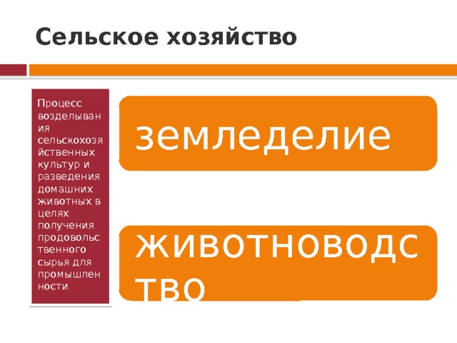 Сельское хозяйство Процесс возделывания сельскохозяйственных культур и разведения домашних животных в целях получения продовольственного сырья для промышленности земледелие животноводство 