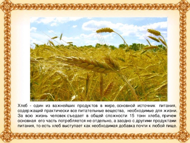 Хлеб - один из важнейших продуктов в мире, основной источник питания, содержащий практически все питательные вещества, необходимые для жизни.  За всю жизнь человек съедает в общей сложности 15 тонн хлеба, причем основная его часть потребляется не отдельно, а заодно с другими продуктами питания, то есть хлеб выступает как необходимая добавка почти к любой пище.