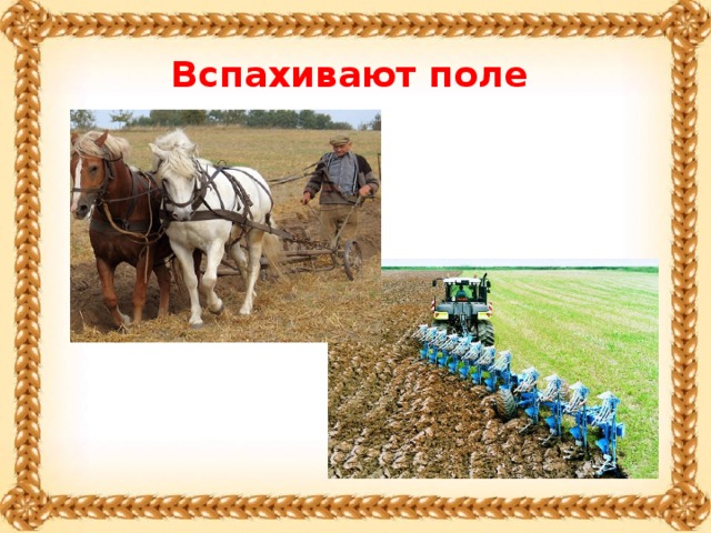 Вспахивают поле
